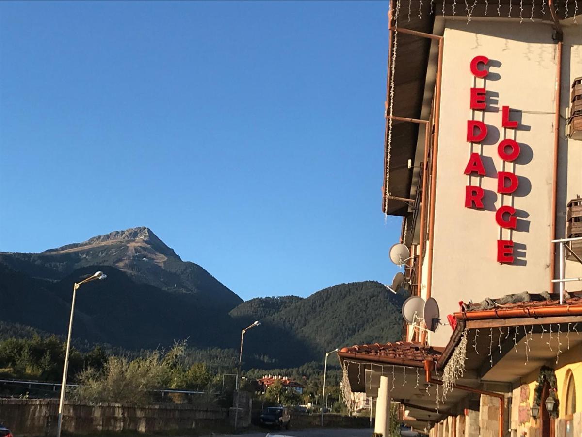 Ski Zone At Gondola, Perfect One Bdrm, Fast Wifi, Netflix, Quiet, Warm Bansko Bagian luar foto