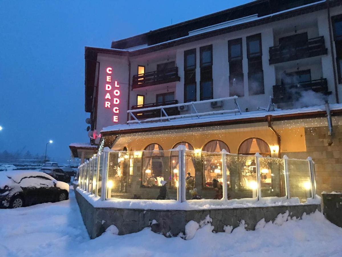 Ski Zone At Gondola, Perfect One Bdrm, Fast Wifi, Netflix, Quiet, Warm Bansko Bagian luar foto